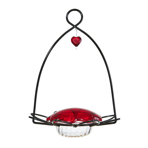 Birds Choice Hummingbird Feeder Flower for Nectar