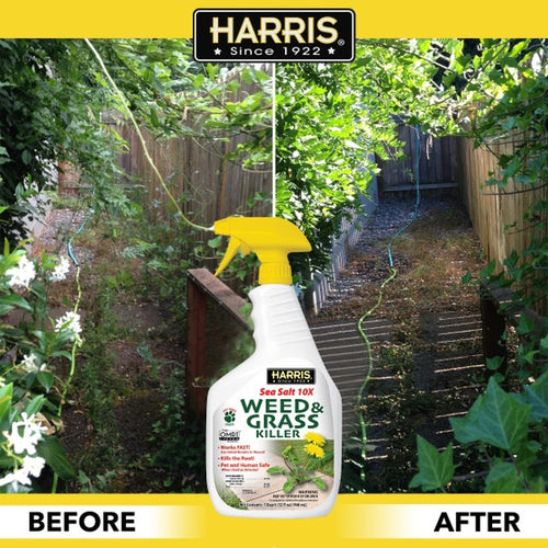 Harris Sea Salt 10X Weed & Grass Killer Spray