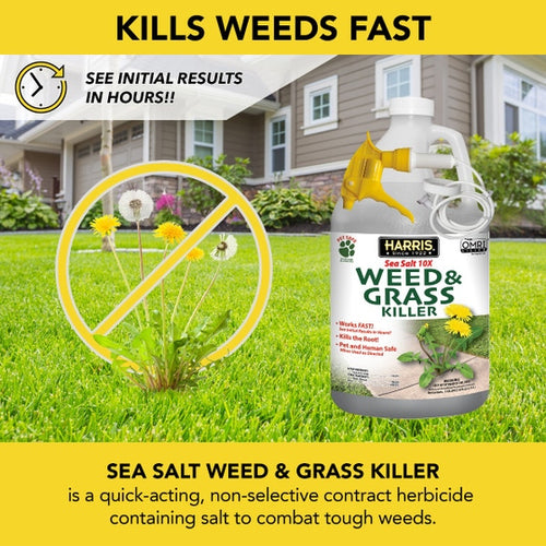 Harris Sea Salt 10X Weed & Grass Killer Spray