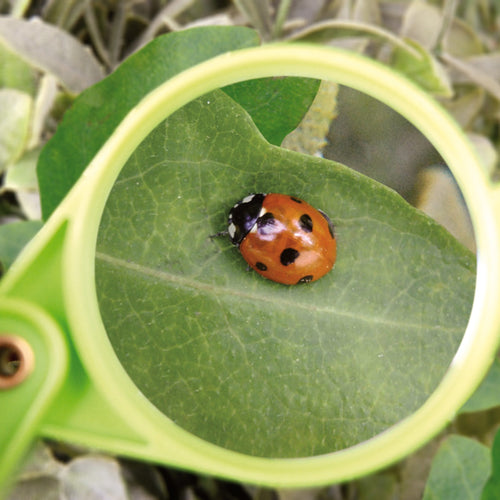 Esschert Design Magnifying glass