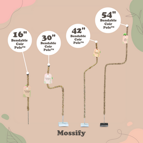 Mossify The Original Bendable Coir Pole™