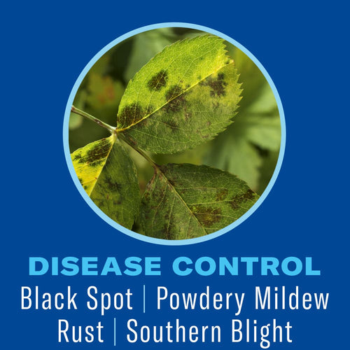 BioAdvanced Shrub Care Protect & Feed Granules