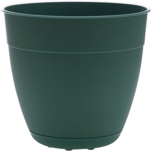 BLOEM DAYTON PLANTER (6 IN, GREEN)